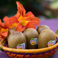 Kiwi jaune