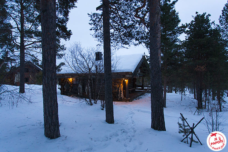 Lodge dans la forêt