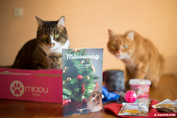La miaoubox : même les chats ont leur box !