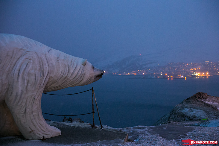 Ours Blanc Polaire Hammerfest