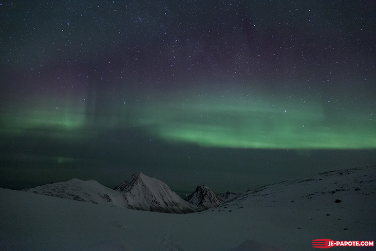 Aurores boreales Rekvik