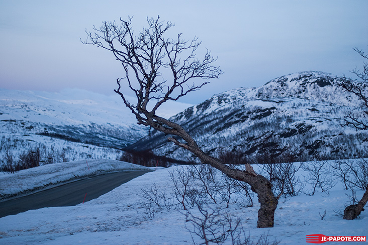 Paysage alentours de Tromso