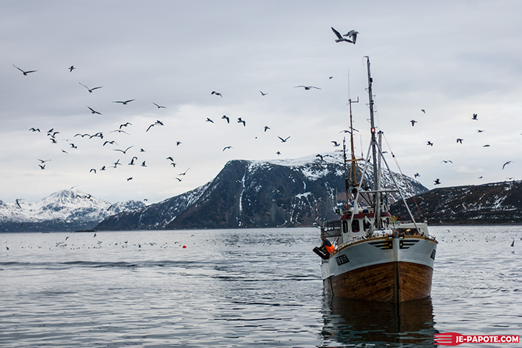 bateau-peche-troms-norvege-7