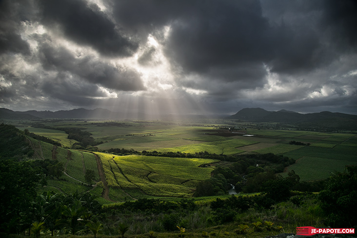 paysage est ile maurice