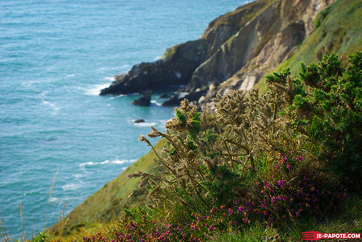 Falaise Howth Irlande