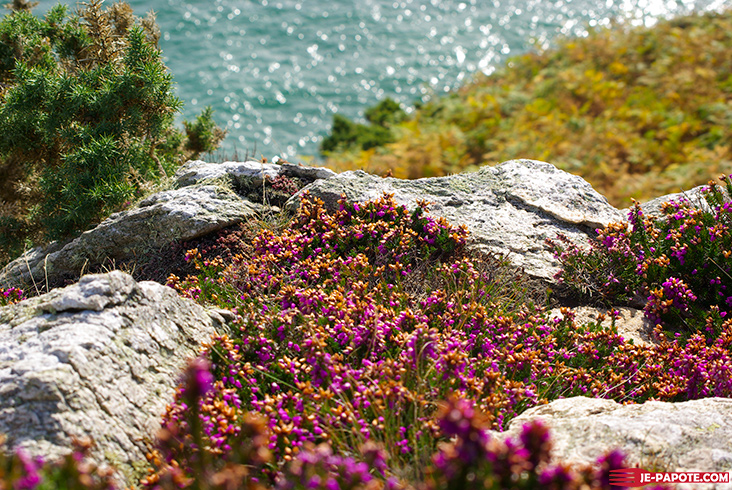 Balade Howth