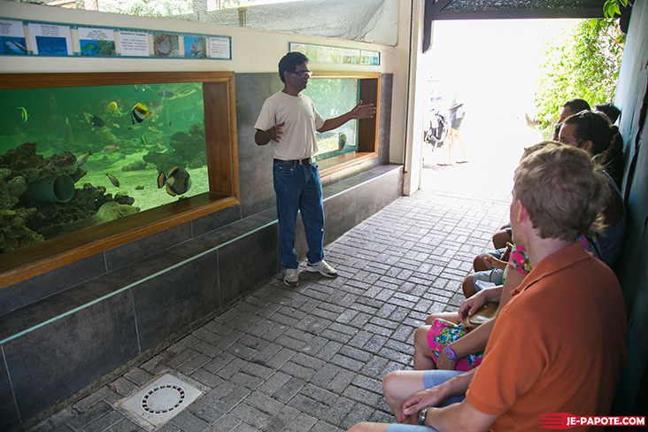 aquarium-ile-maurice-dejeuner