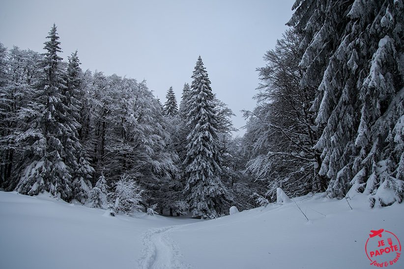 paysage-neige-jura