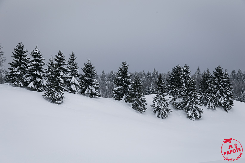 sapins-neige-jura