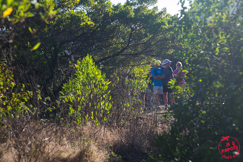 chemin-le-morne-maurice