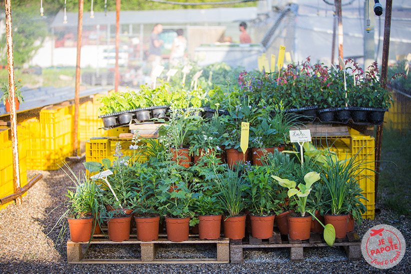 Jardin de Malissoles