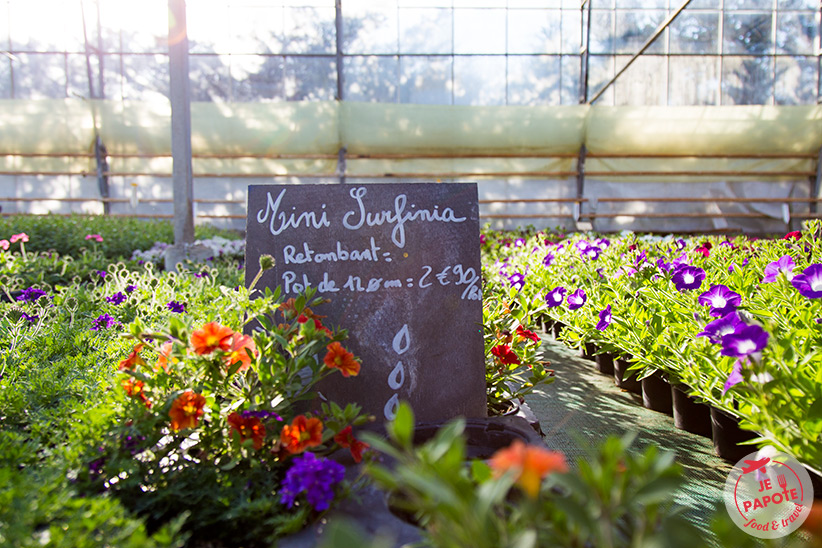 Plants fleurs Varces