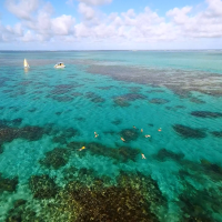 Snorkeling Ile Maurice