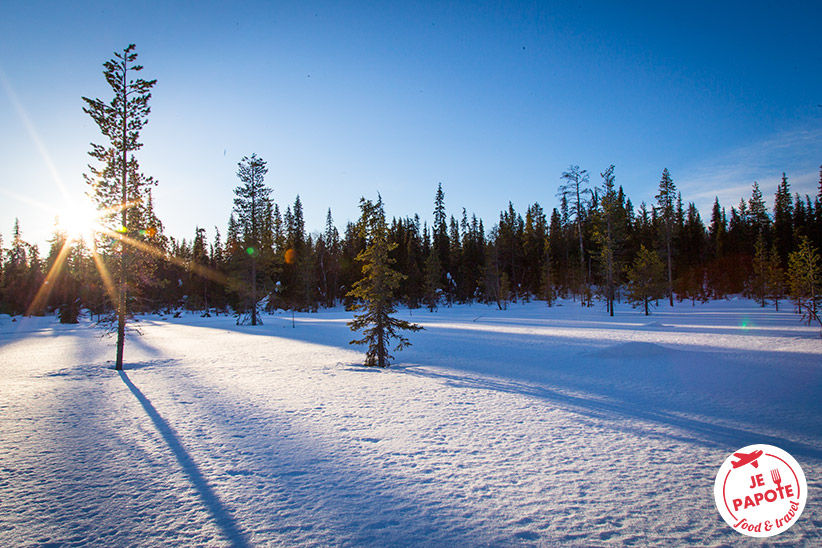 Paysage Finlande Hiver