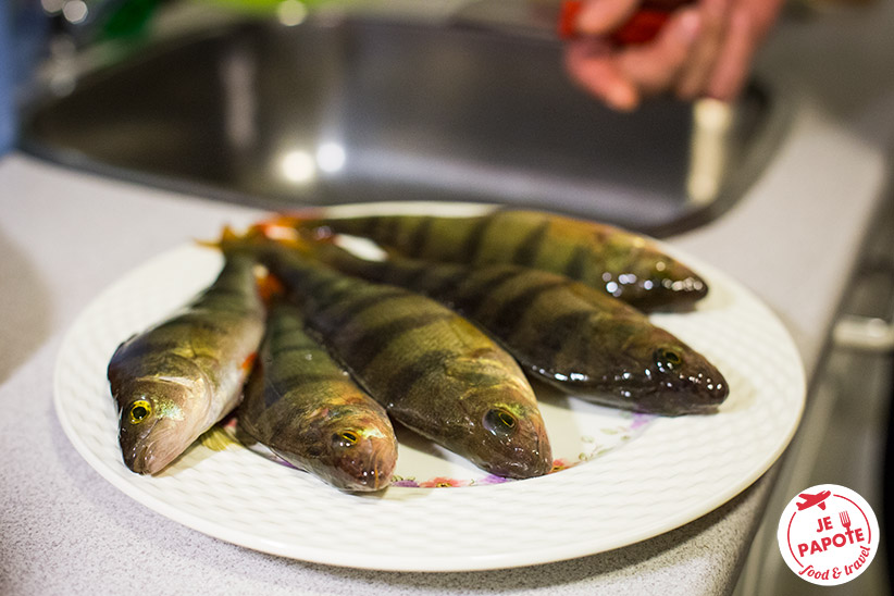 poissons Laponie