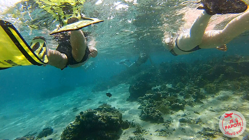 snorkeling ile maurice