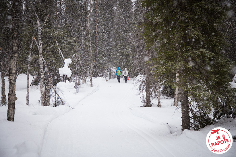 Randonnée Parc Pallas Finlande