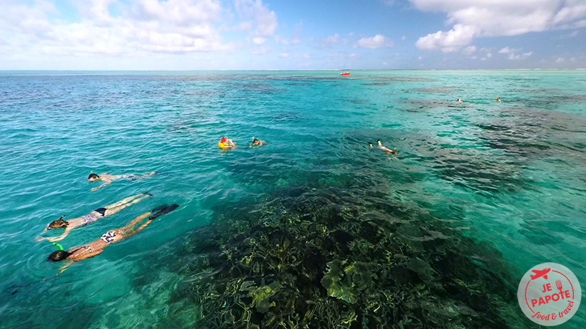 snorkeling-ile-maurice