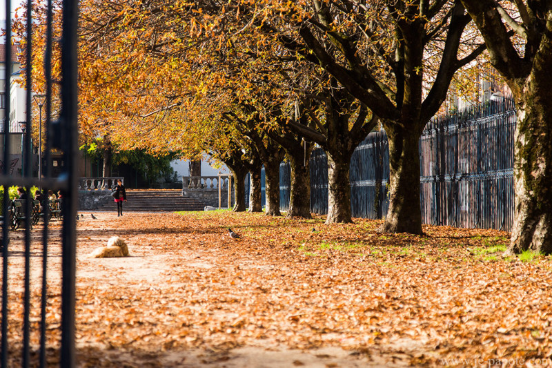 Automne Grenoble