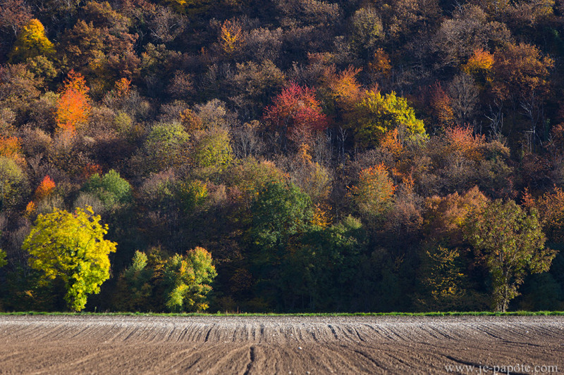 Automne Vercors