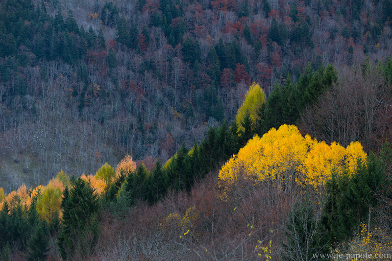 Automne Vercors