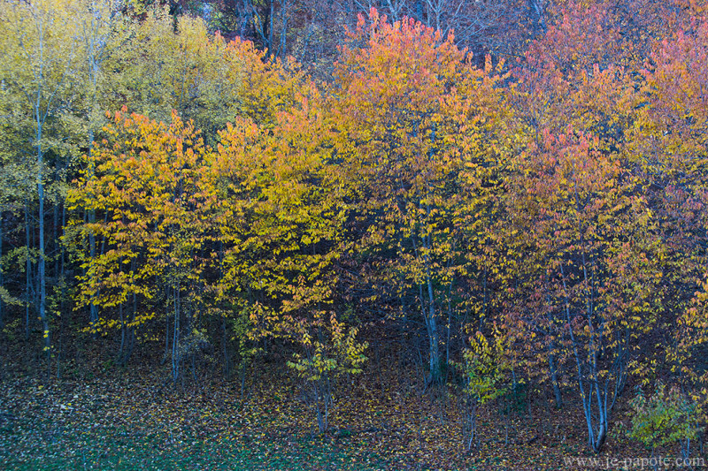 Automne Vercors