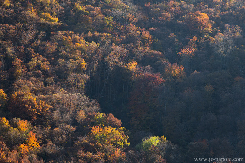 Automne Vercors
