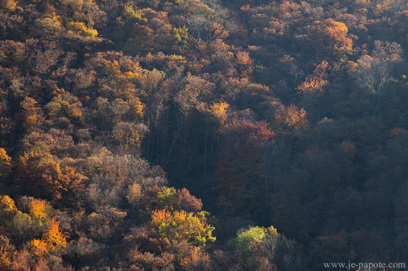 Automne Vercors