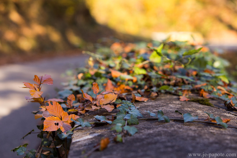 Automne Vercors