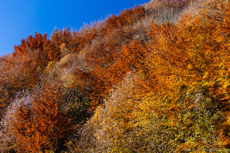 Automne Vercors