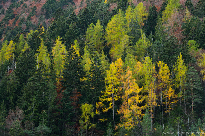 Automne Vercors