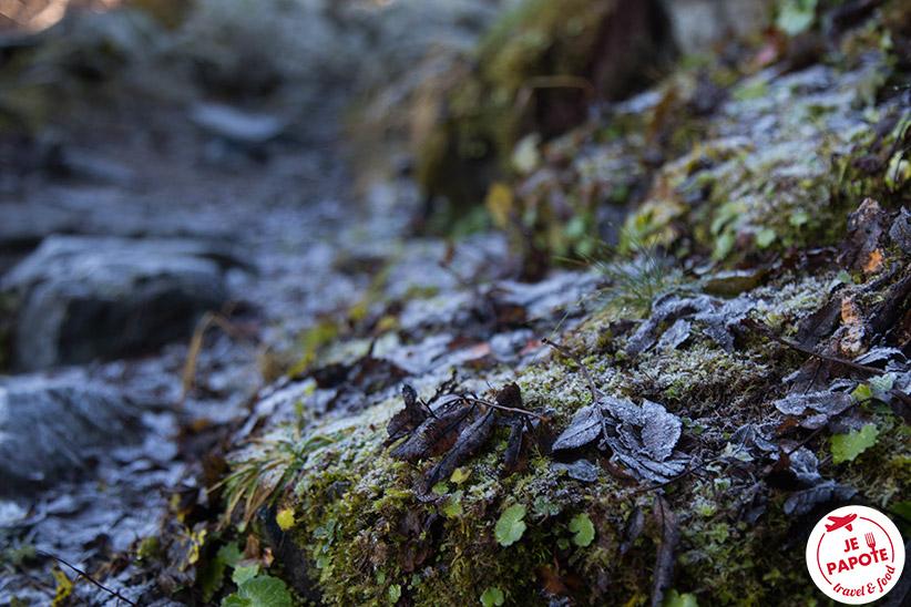 Givre en montagne