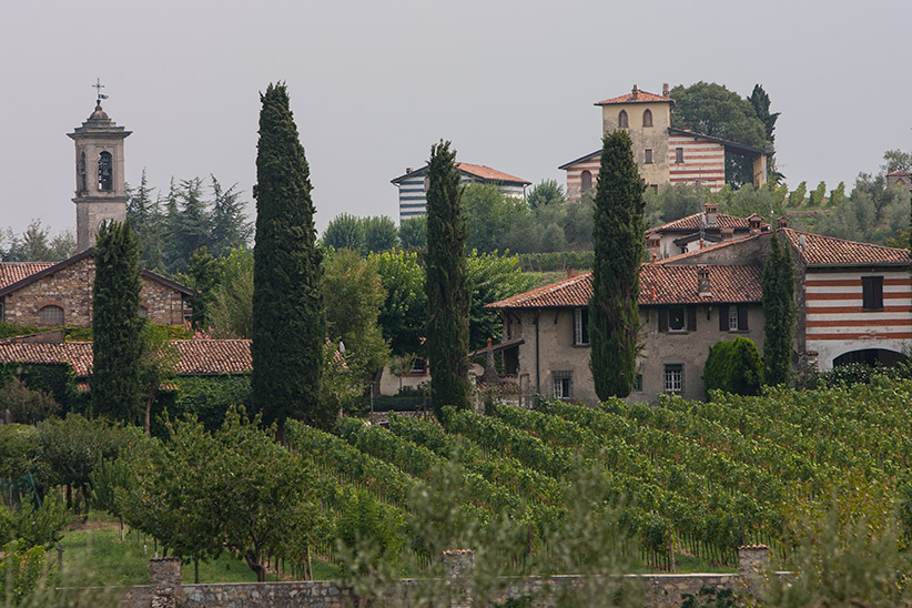 Vignoble Lombardie