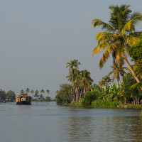 Backwaters Alleppey