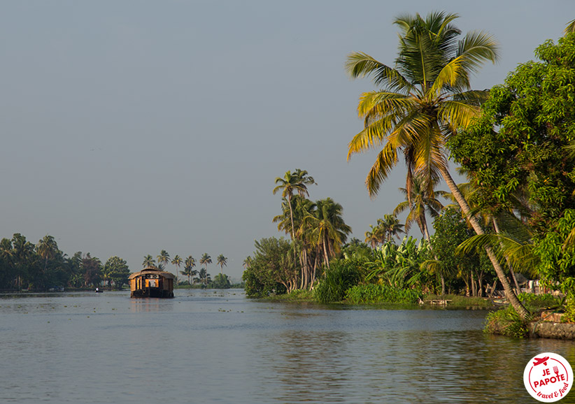 Backwaters Alleppey