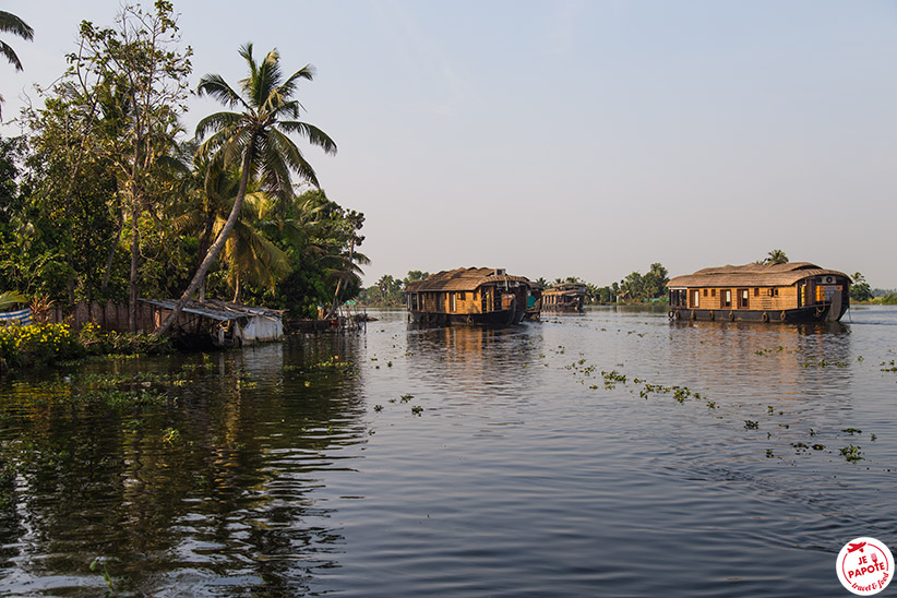 Backwaters Kerala