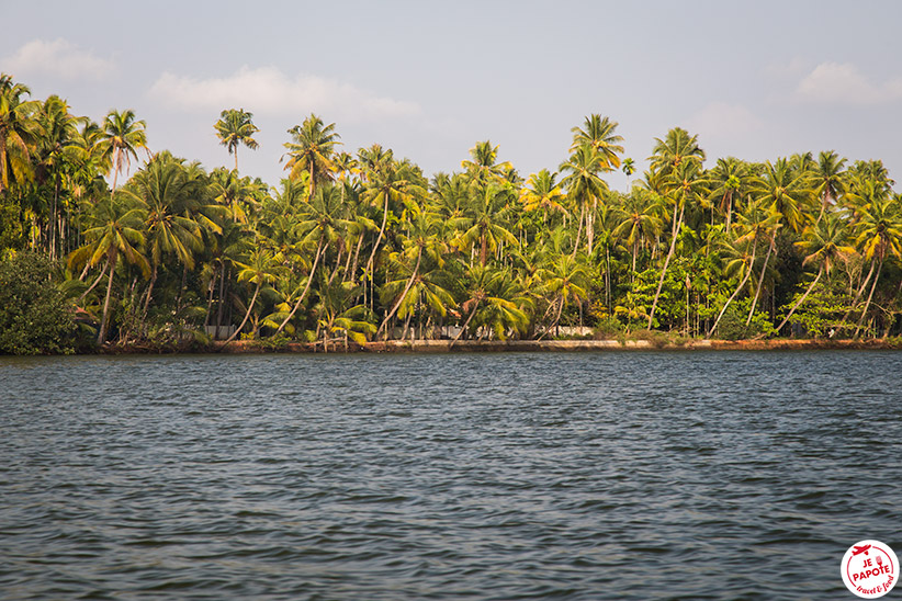 Cocotiers Kerala