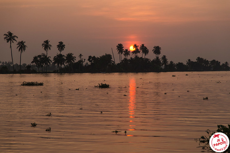 Backwaters Kerala