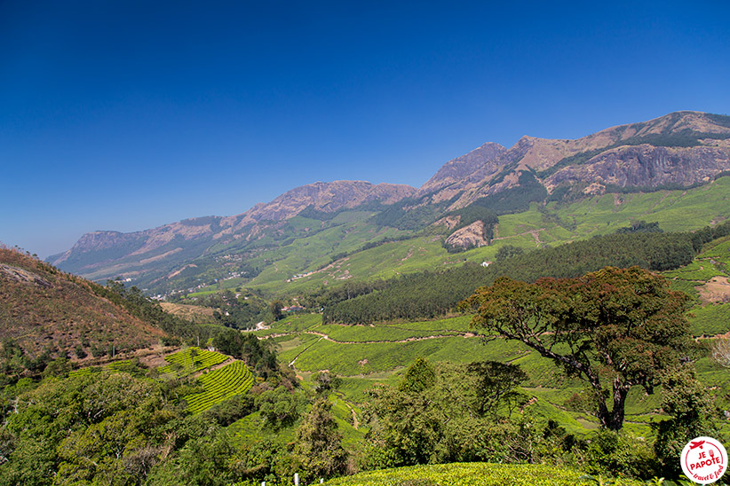 Nature au Kerala