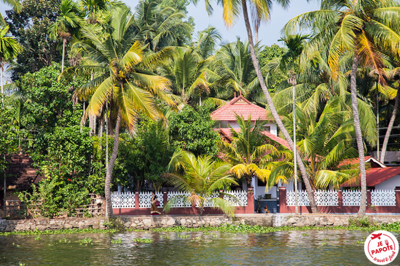 Backwaters Kerala