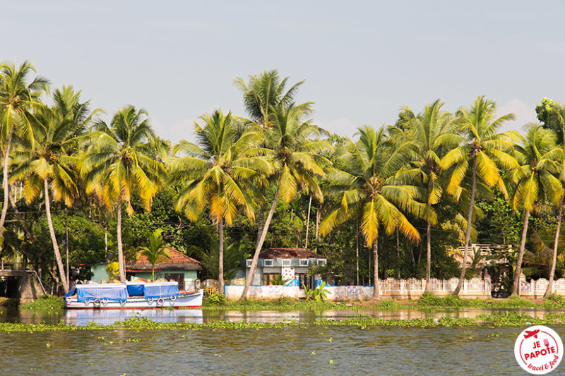 village backwaters