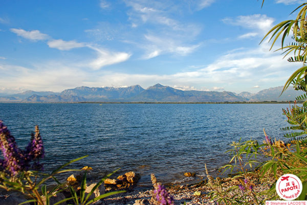 Lac de Shkodër