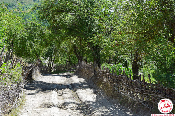 Balade autour de Dardhë