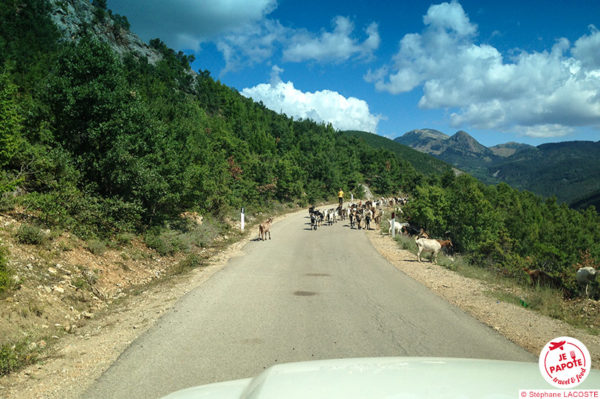 Sur la route SH 15, de Korçë à Gjirokastër