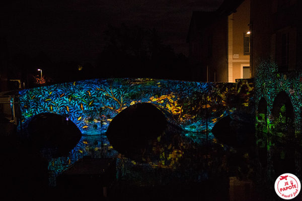 Chartres en Lumières