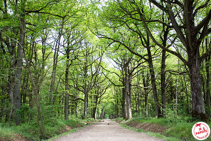 Espace Rambouillet