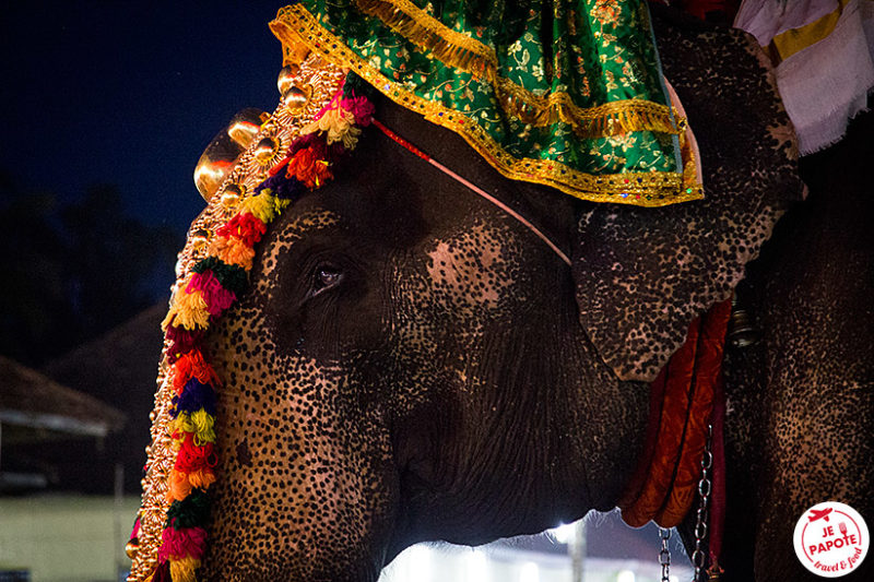 Fete religieuse Inde du sud