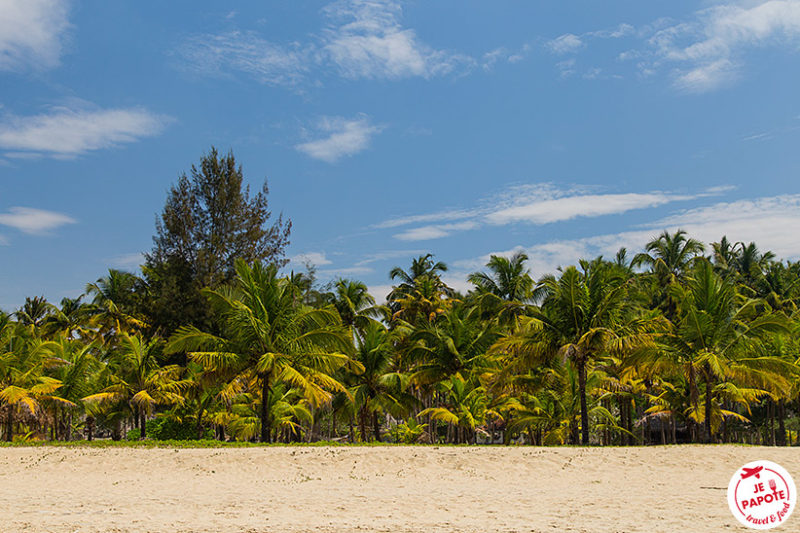 Plage Marari Kerala