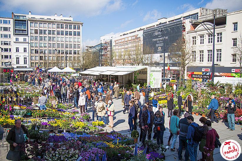 Marché aux fleurs Gand