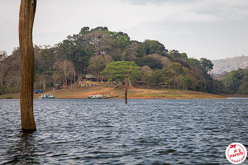 Parc National Periyar